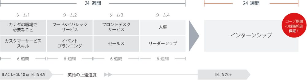 有給インターンシップ　スケジュール　カナダ　ILAC