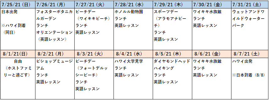 ハワイ　サマープログラム　ティーン