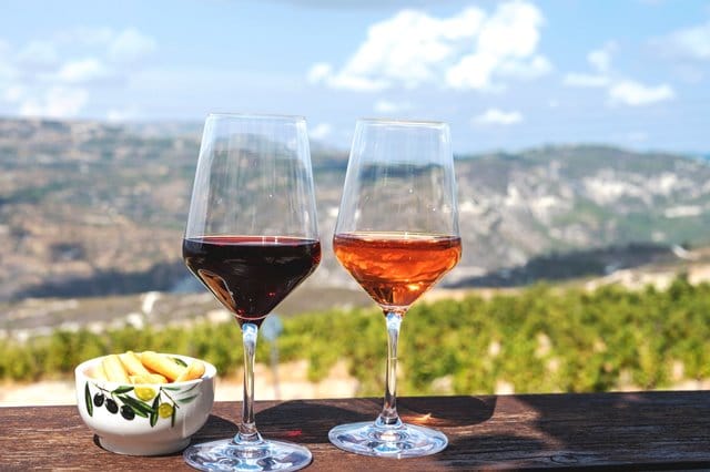 キプロス留学　ワイン　料理