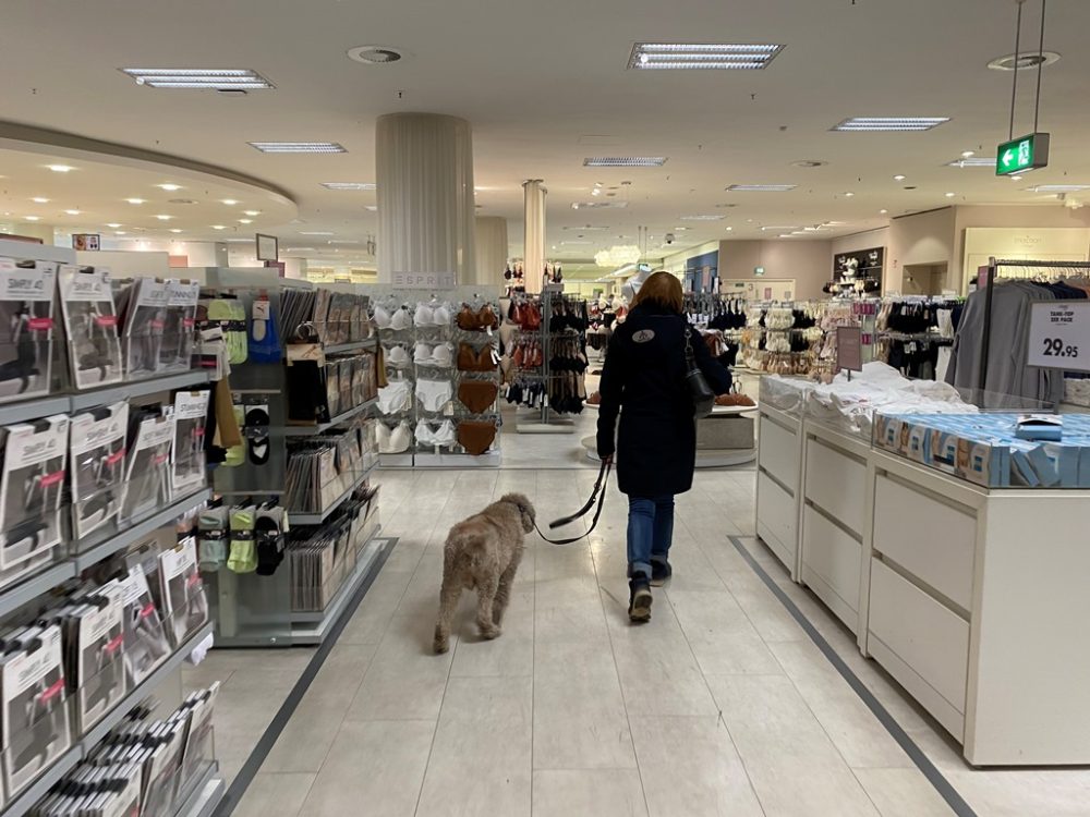 ショッピング付き添い犬